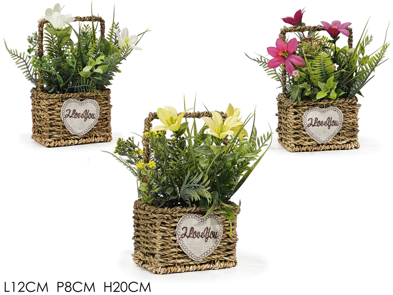 Piantina con cesto 12x8xh20cm in 3 assortimenti