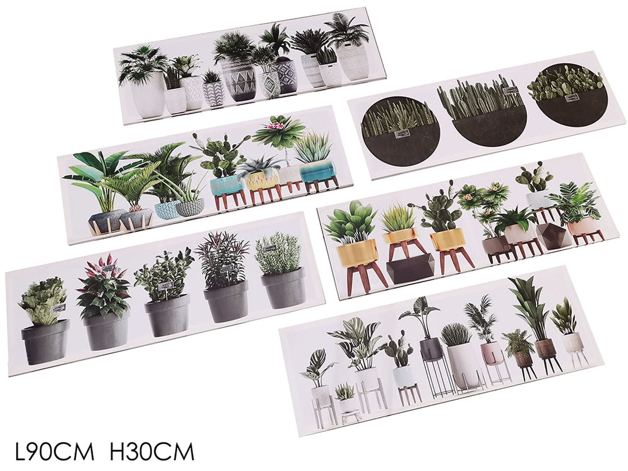 Quadro con piante grasse 90xh30cm in 6 assortimenti