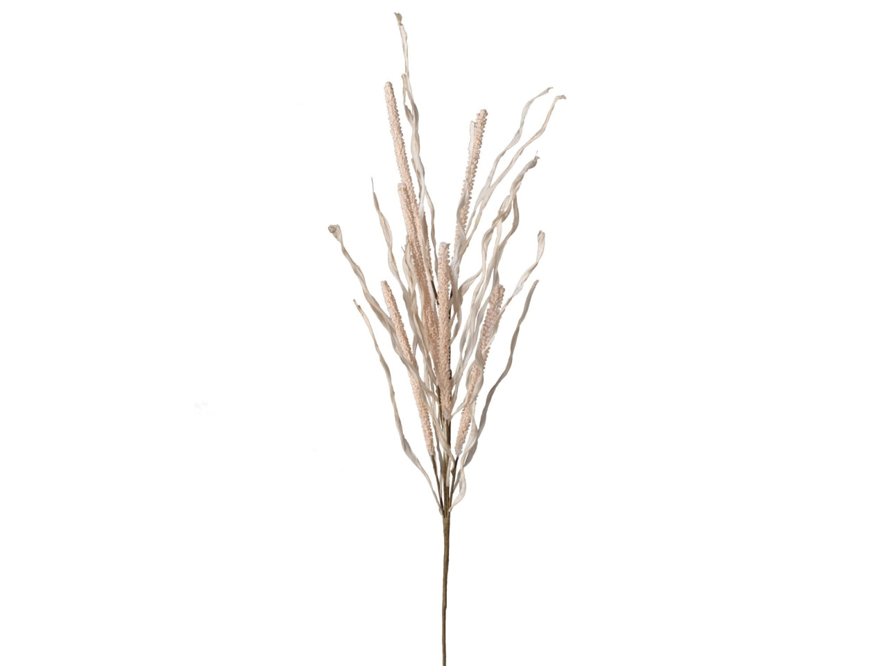 Ramo veronica 98cm di colore beige