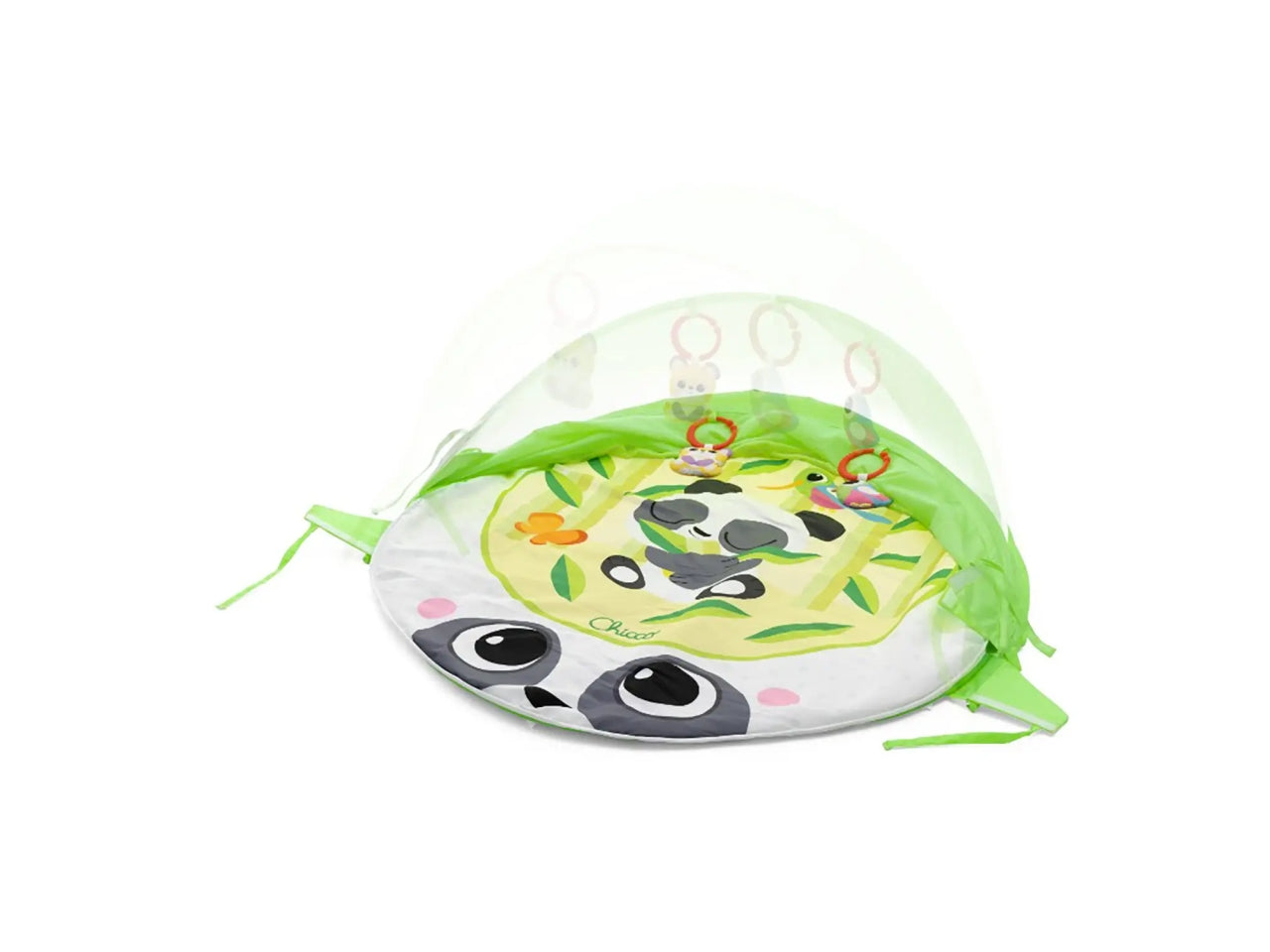 Gioco palestrina magic forest