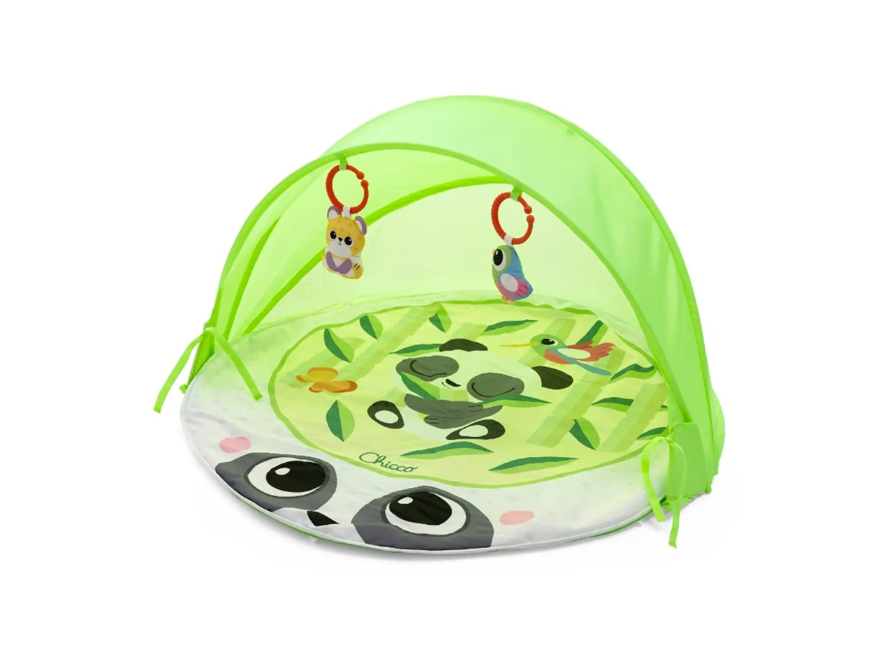 Gioco palestrina magic forest