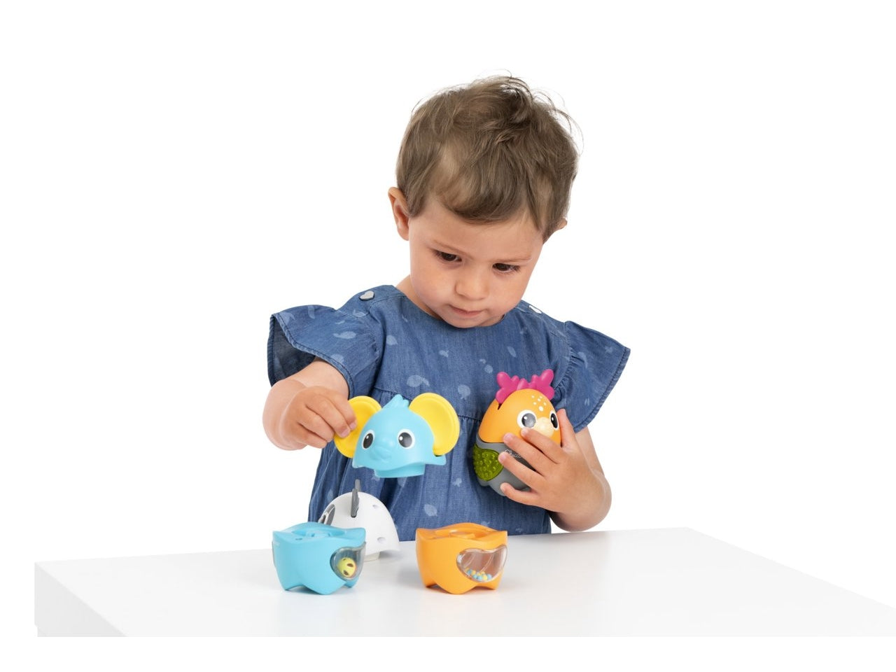 Gioco  baby sense focus activity animals