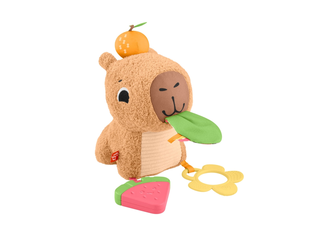 Fisher price gioco marmotta coccole e merenda