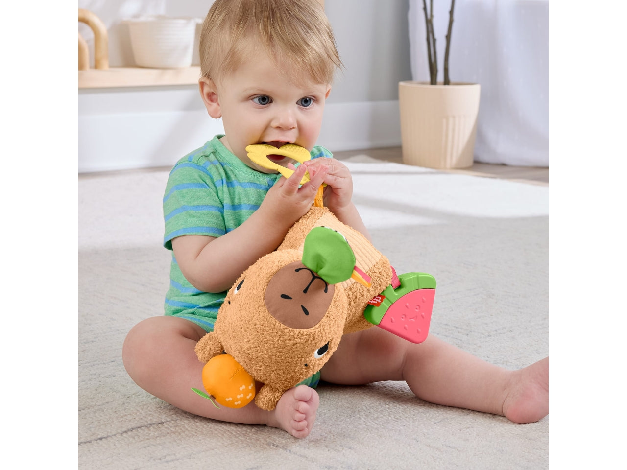 Fisher price gioco marmotta coccole e merenda