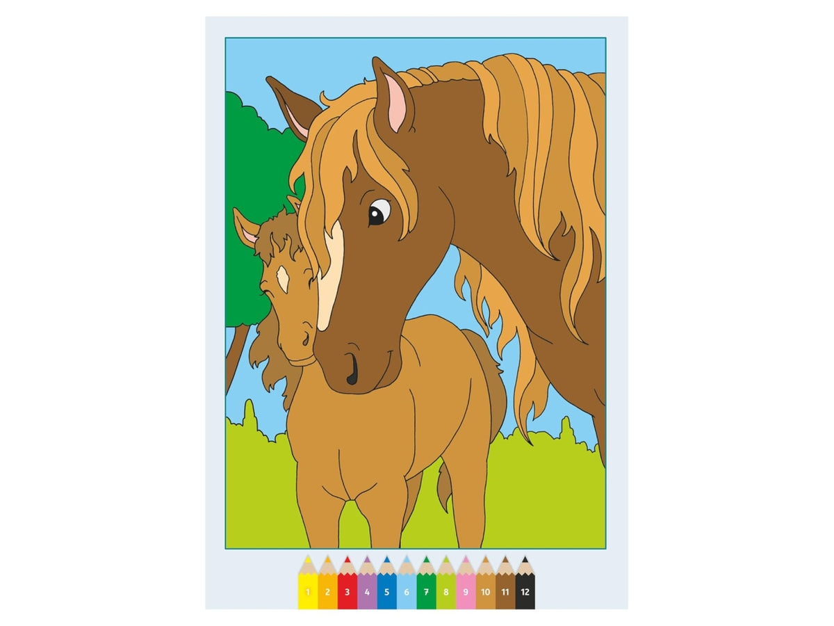 Creart album da colorare 5+ - teneri cavalli