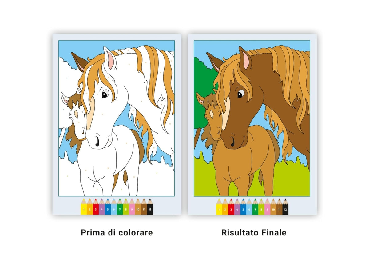 Creart album da colorare 5+ - teneri cavalli