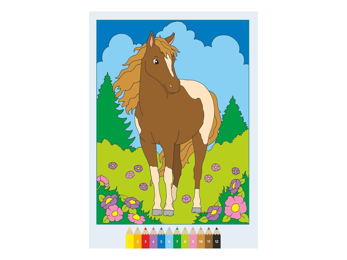 Creart album da colorare 5+ - teneri cavalli