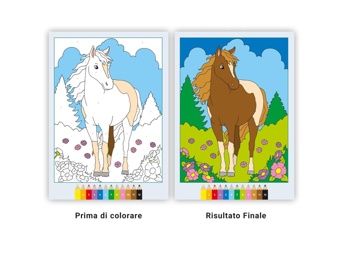 Creart album da colorare 5+ - teneri cavalli