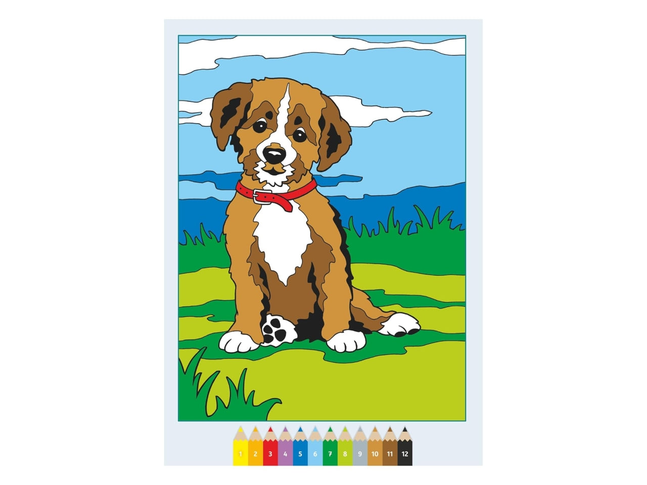 Creart album da colorare 5+ - adorabili cuccioli di animali