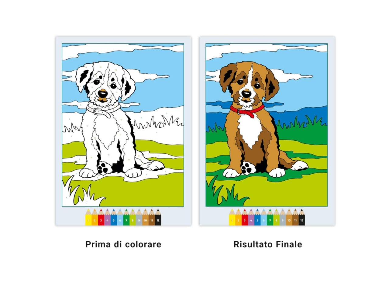 Creart album da colorare 5+ - adorabili cuccioli di animali