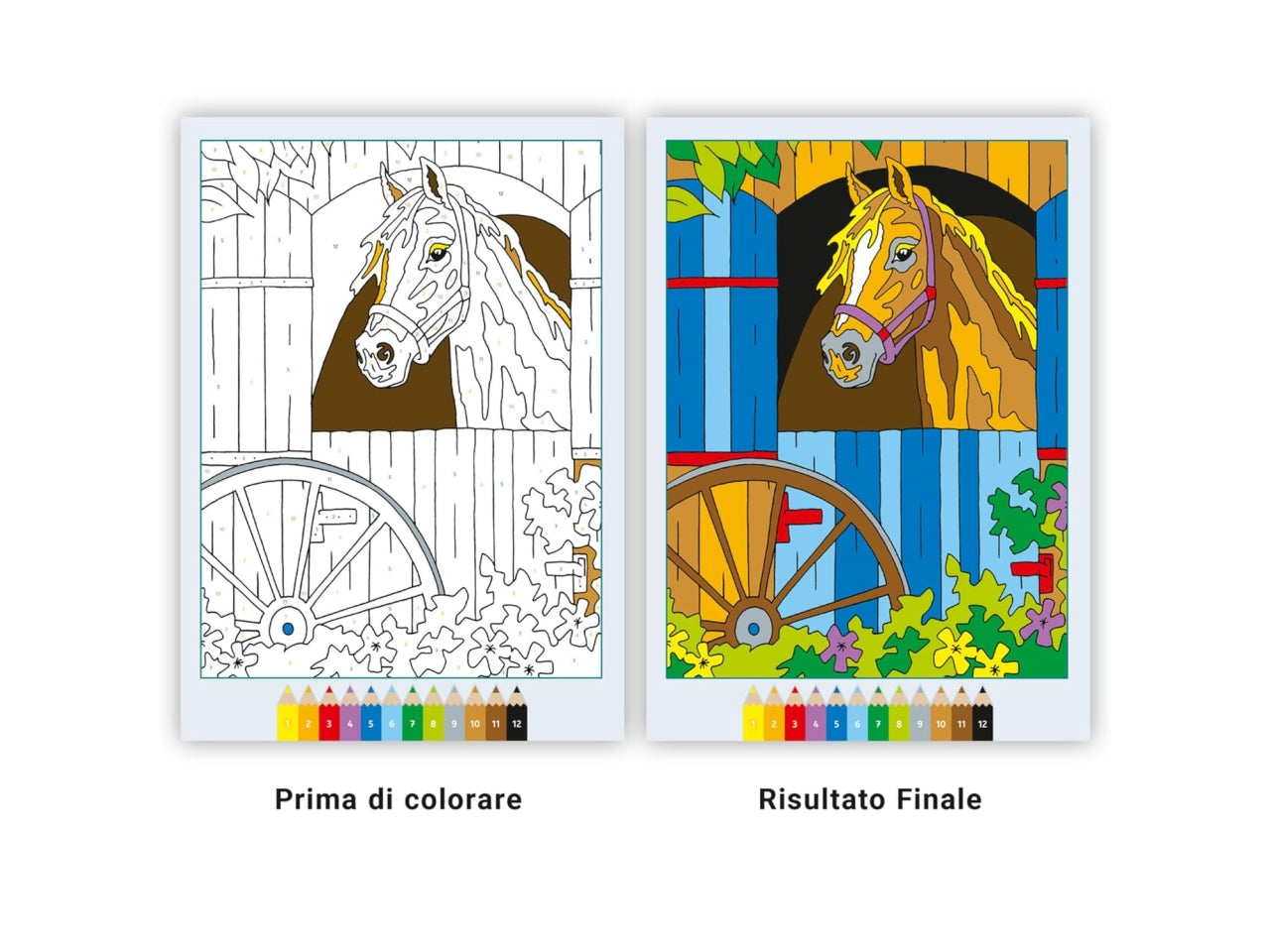 Creart album da colorare 7+ - cavalli