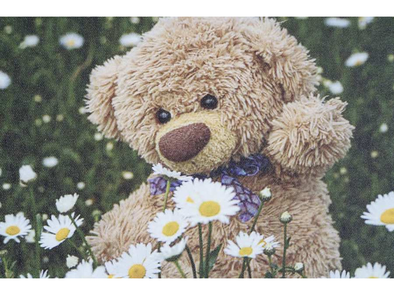 QUADRO TELA 28X1,5X28CM SOGGETTO ORSO IN 4 MODELLI ASSORTITI