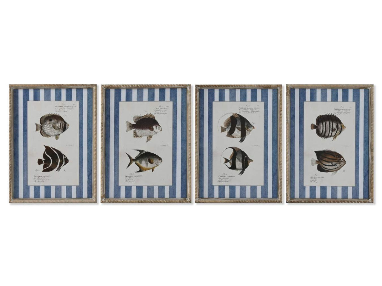 Quadro cristallo abete 40x2,5x55cm soggetto pesce in 4 modelli