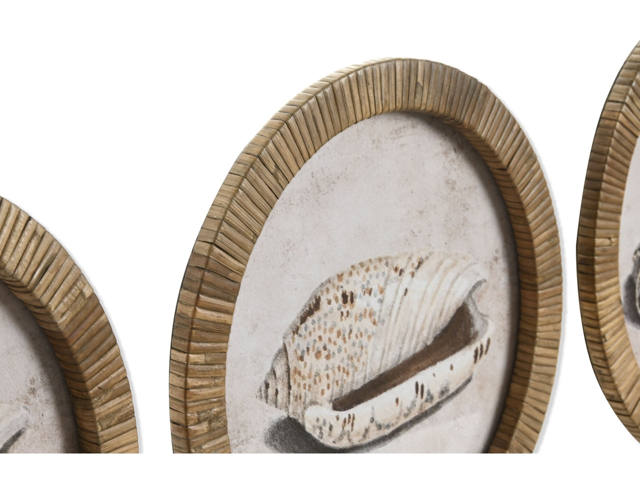 Quadro cristallo rattan 30x2x30cm soggetto conchiglia in 9 modelli