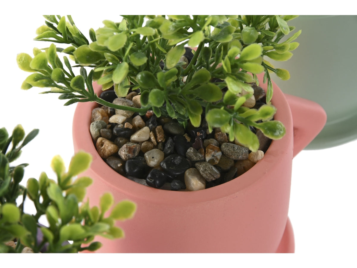 Pianta con vaso in cemento 9x7x12cm  in 3 modelli assortiti