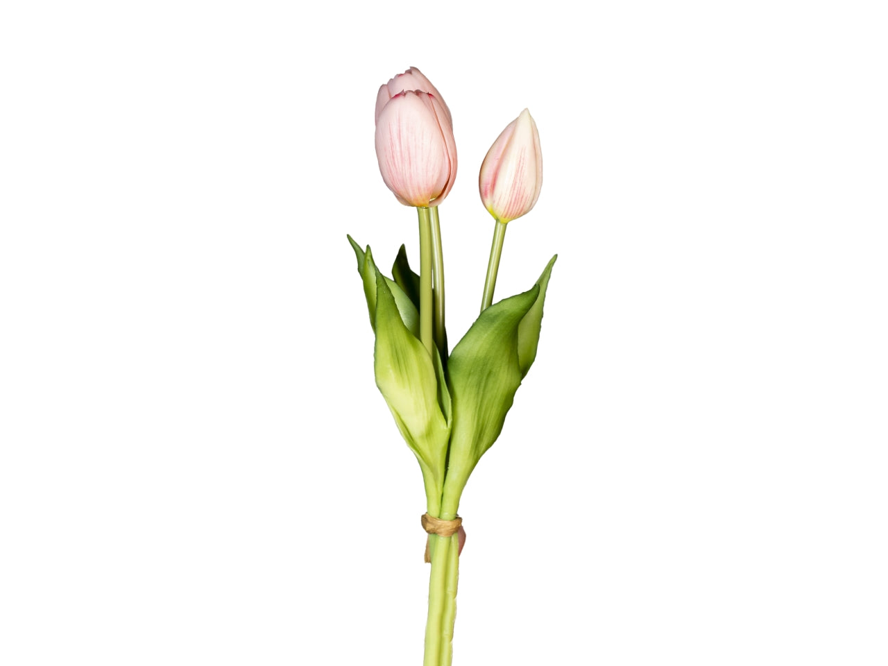 Mazzetto corto tulipani con 2 fiori e 1 bocciolo rosa