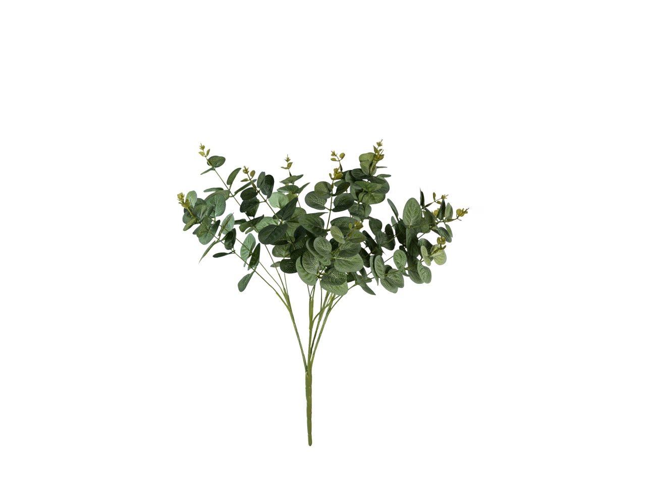 Mazzetto di eucalipto innevato