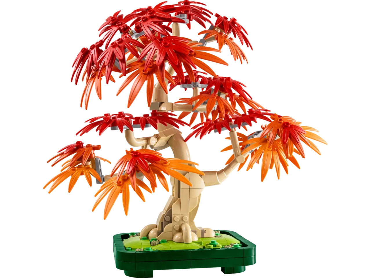 Lego Botanicals Bonsai di acero rosso giapponese