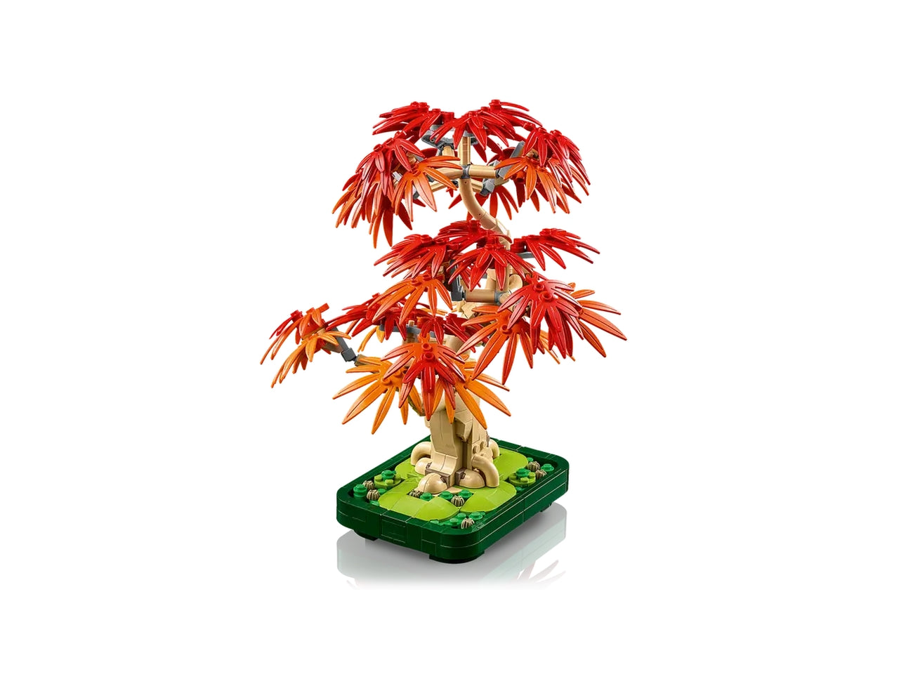 Lego Botanicals Bonsai di acero rosso giapponese
