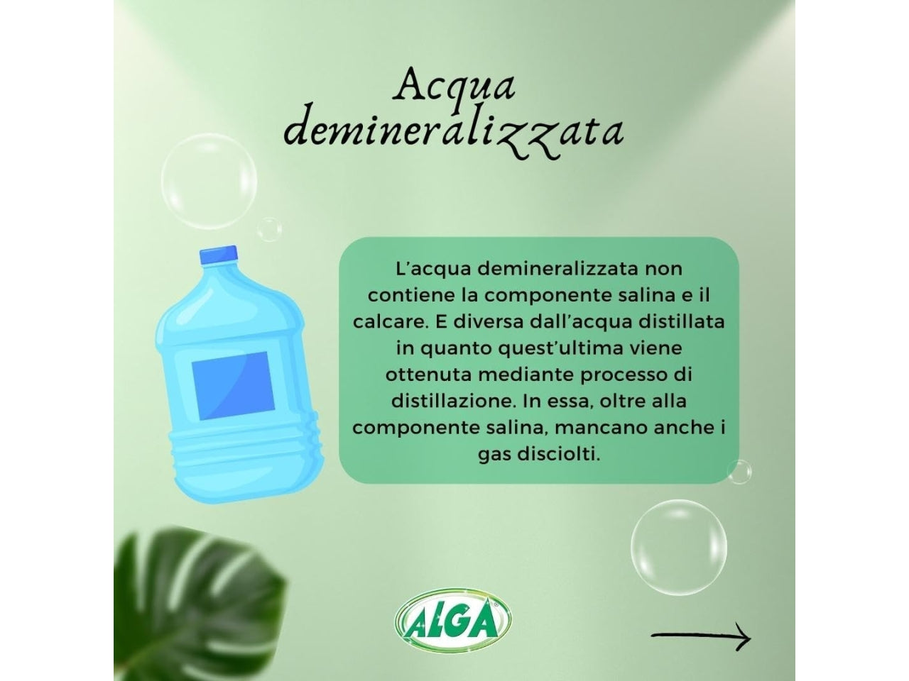 Alga sapone ecologico per bucato 400gr $