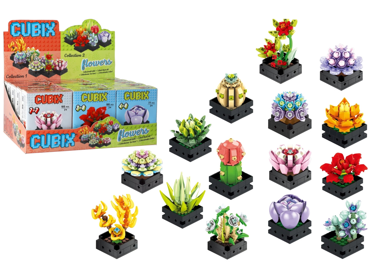 Cubix piante grassortitie con vaso da 15 pezzi assortiti