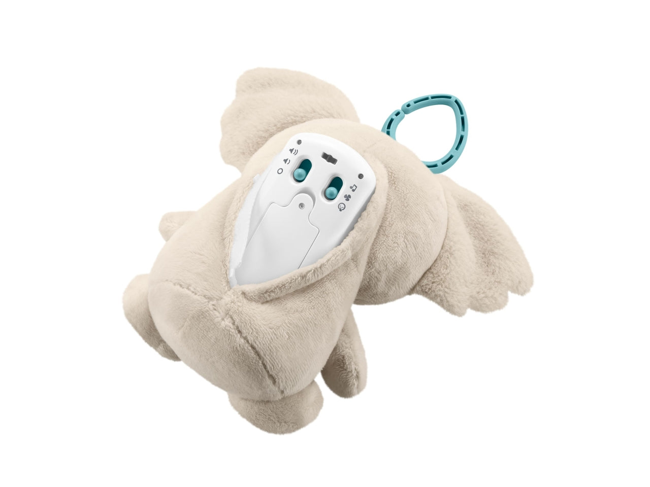 Koala coccole sempre con te