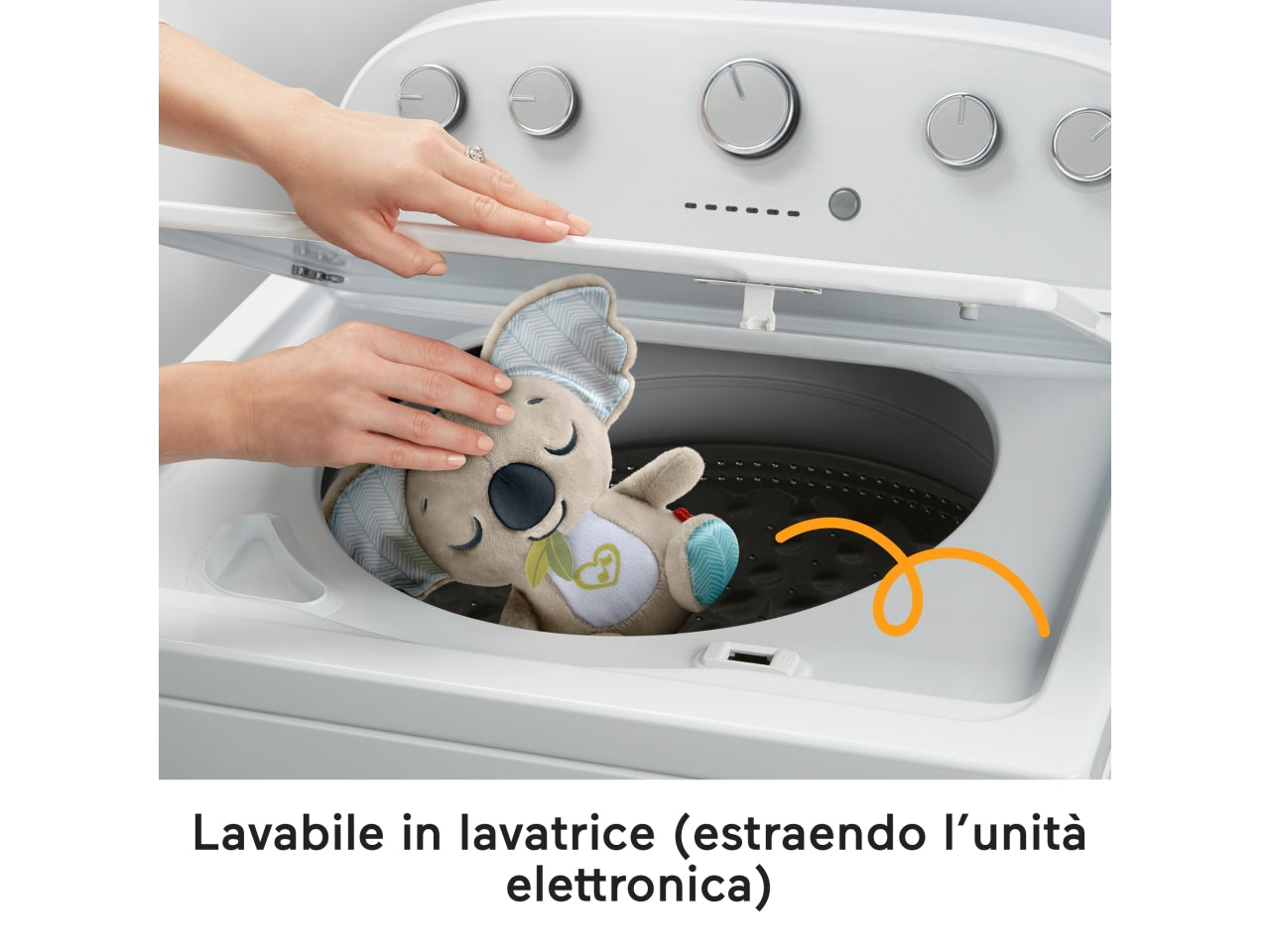 Koala coccole sempre con te