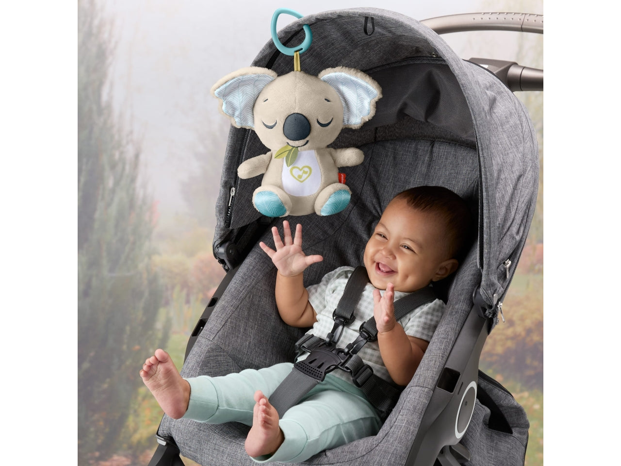 Koala coccole sempre con te