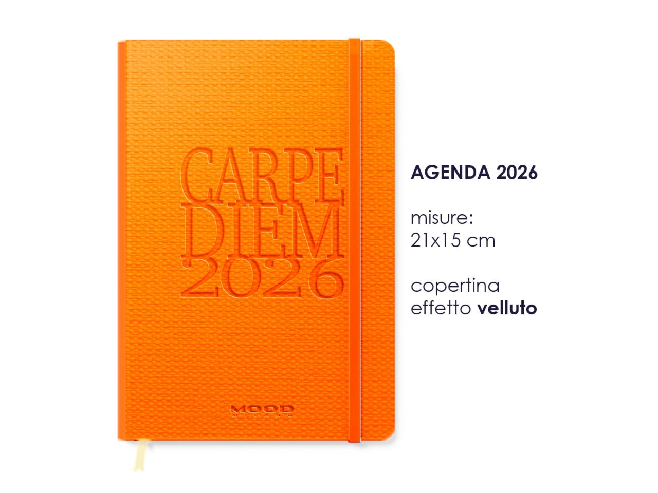 AGENDA CARPE DIEM 2026 MIS. XL SE CB071 CB071