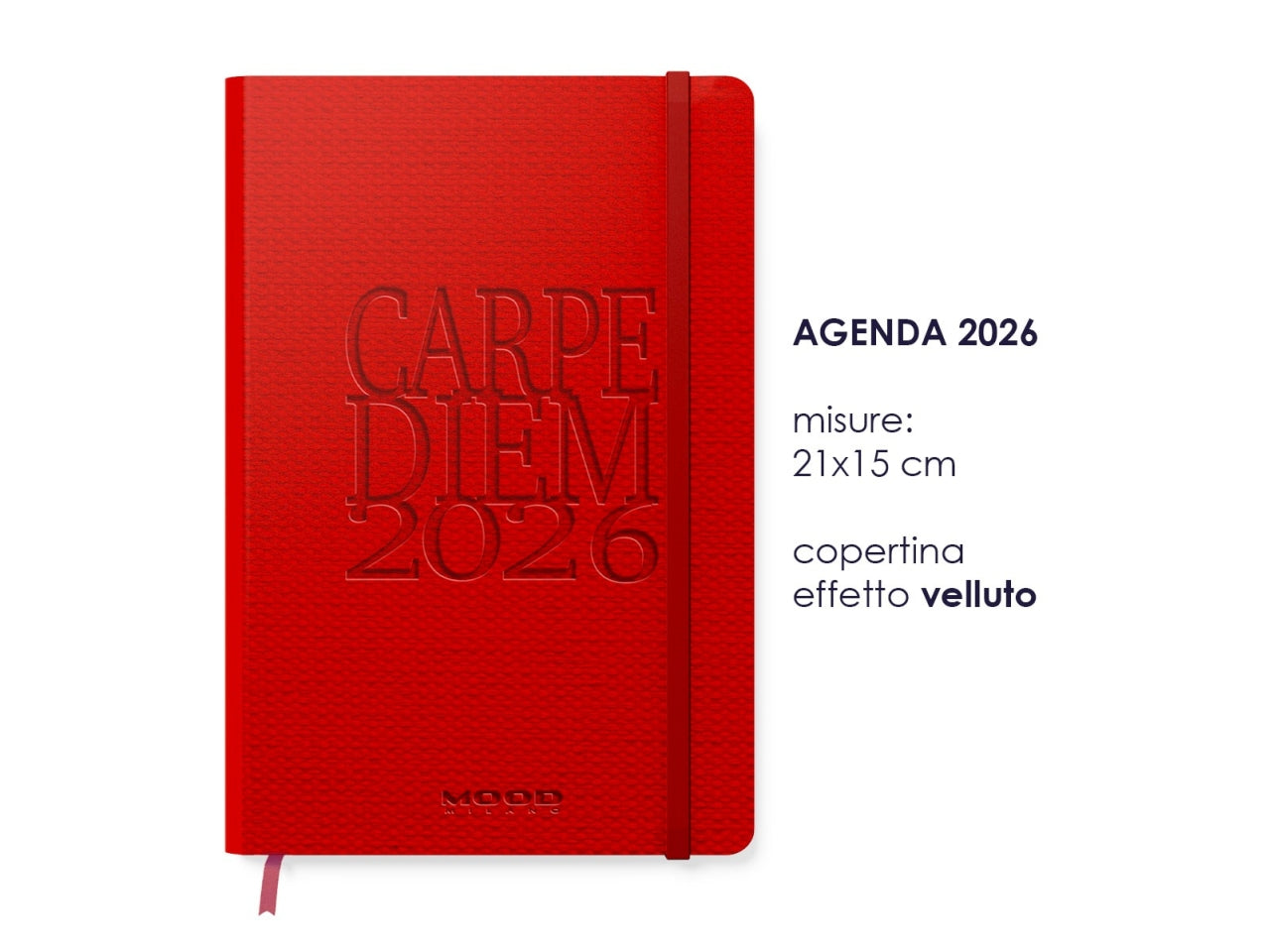 AGENDA CARPE DIEM 2026 MIS. XL SE CB071 CB071
