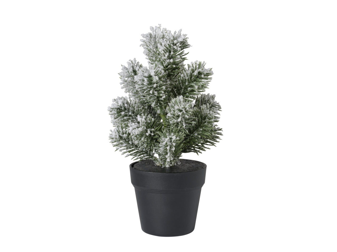Alberello pino con vaso 25cm 639 snow verde
