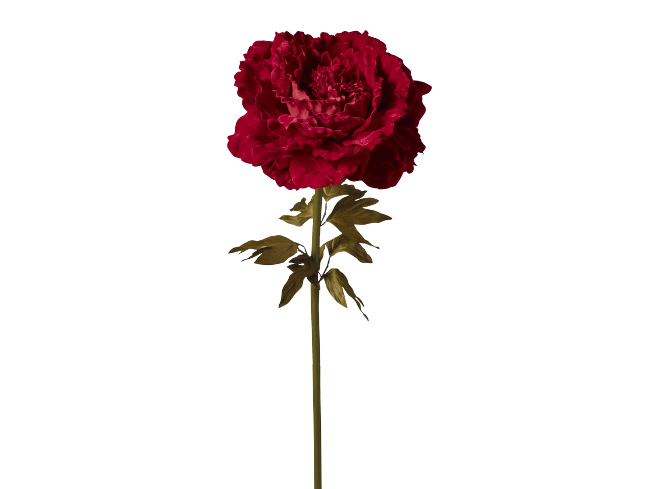 Ramo peonia 38x38x115cm 253 rosso