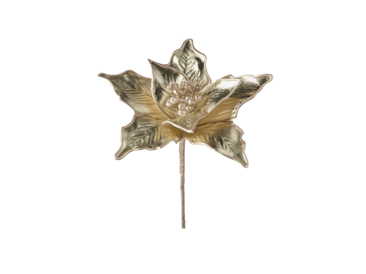 Rametto stella natale 25cm 033 champagne