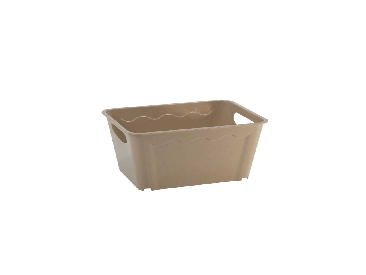 Cestino vulcano xs 19x14x9hcm tortor