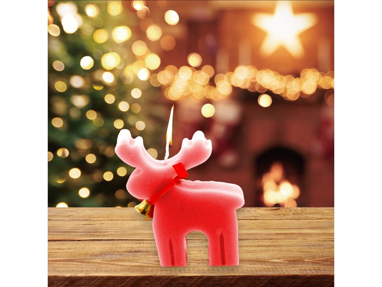 Candela alce colori assortiti