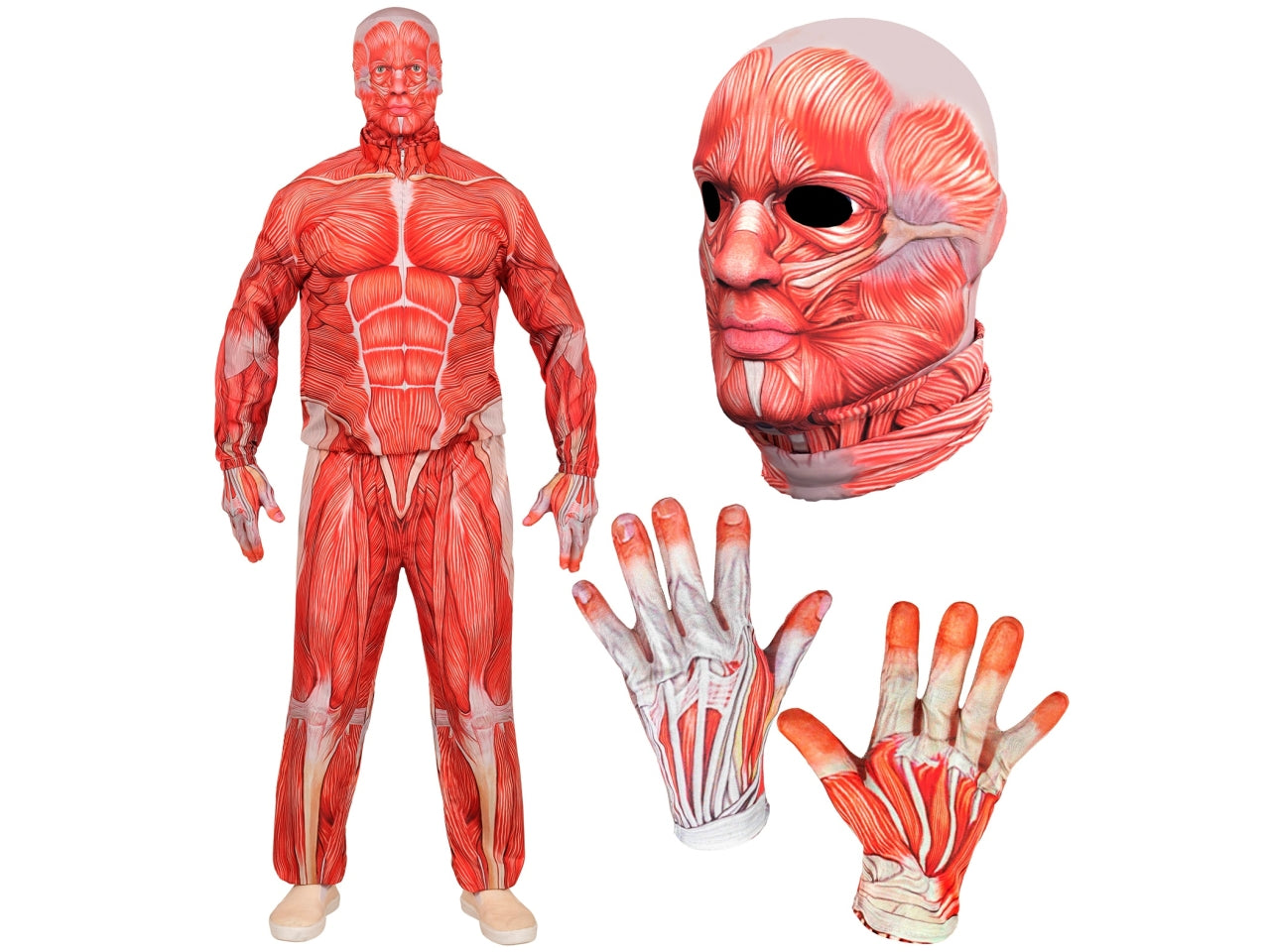Costume anatomia fast con giacca, pantaloni, guanti e maschera taglia L