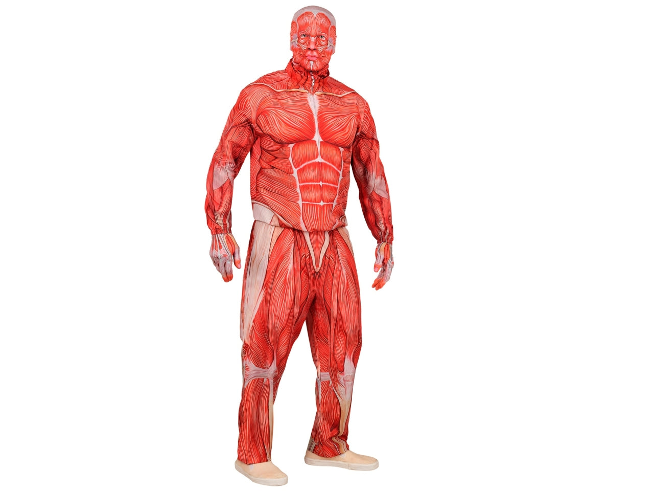 Costume anatomia fast con giacca, pantaloni, guanti e maschera taglia S