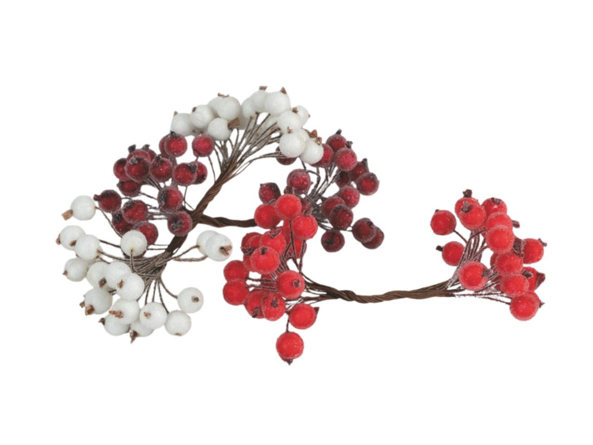 Bacche zuccherate 1,2cm zuccherate assortite
