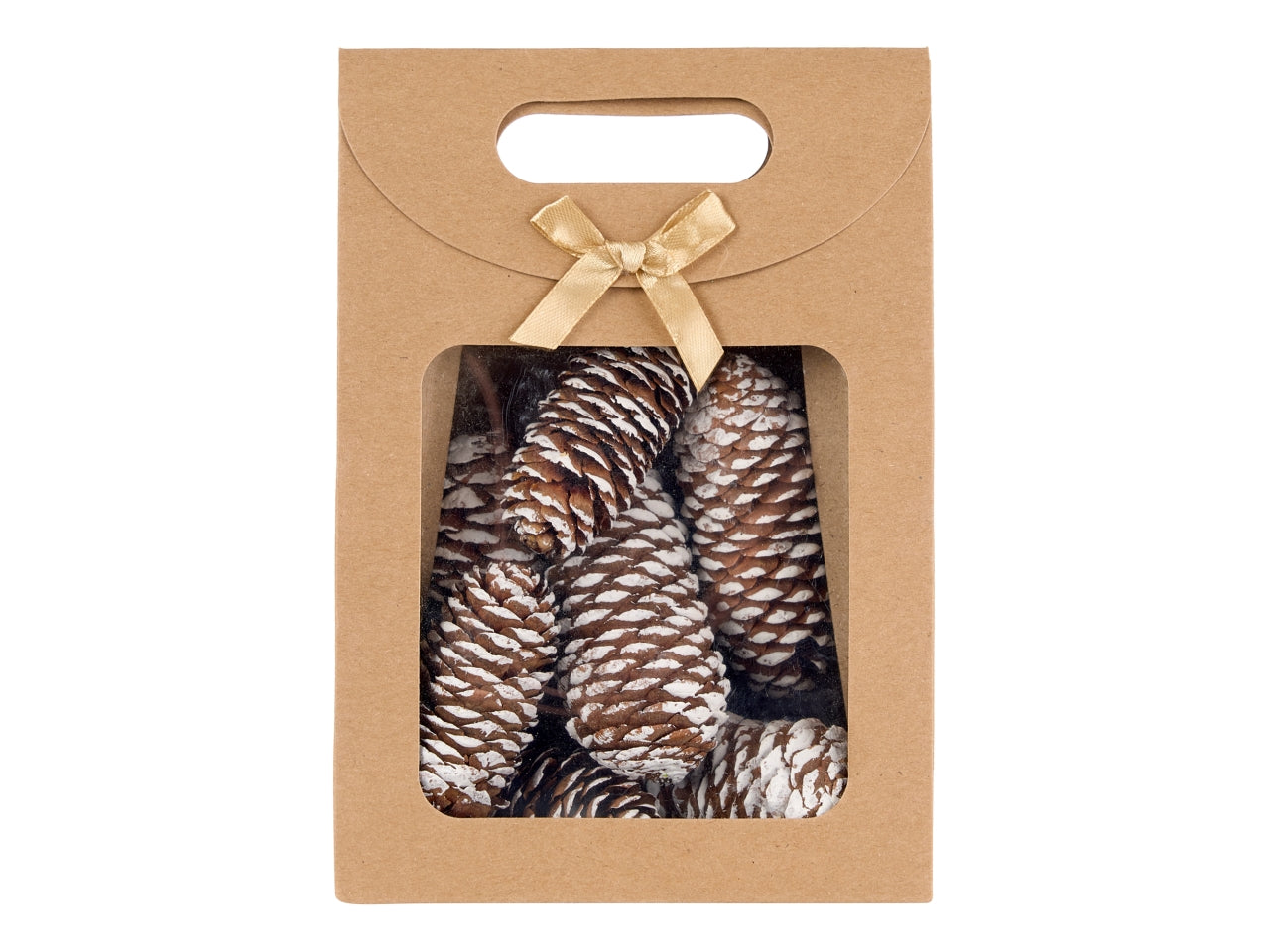 Pigne in scatola 5/9cm naturali