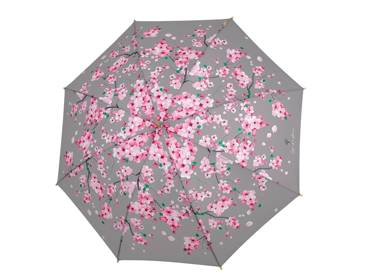 Ombrello donna 61cm automatico con stampa fiore di pesco