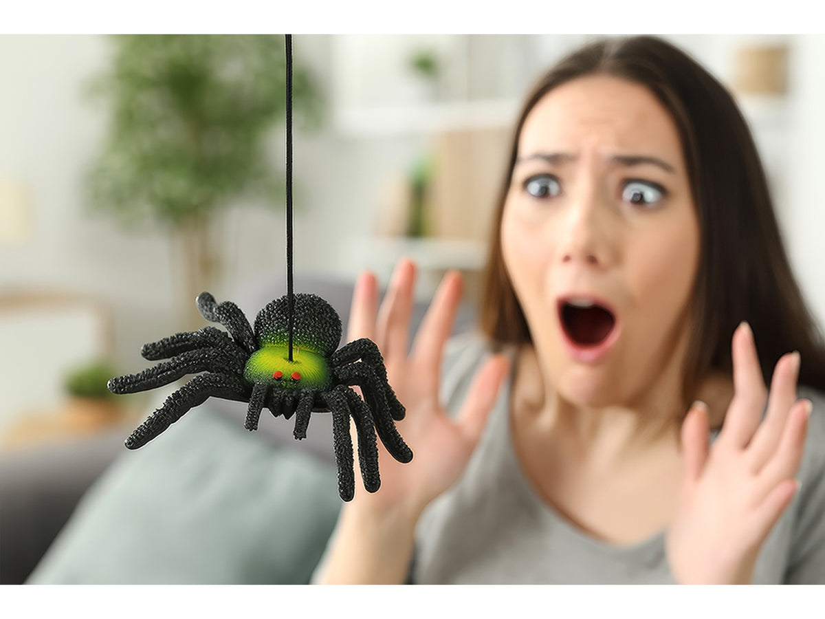 Ragno gomma 14cm