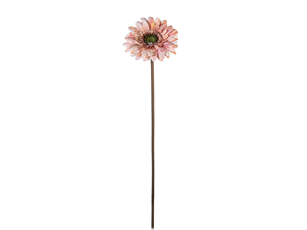 Ramo gerbera 50cm rosa antico
