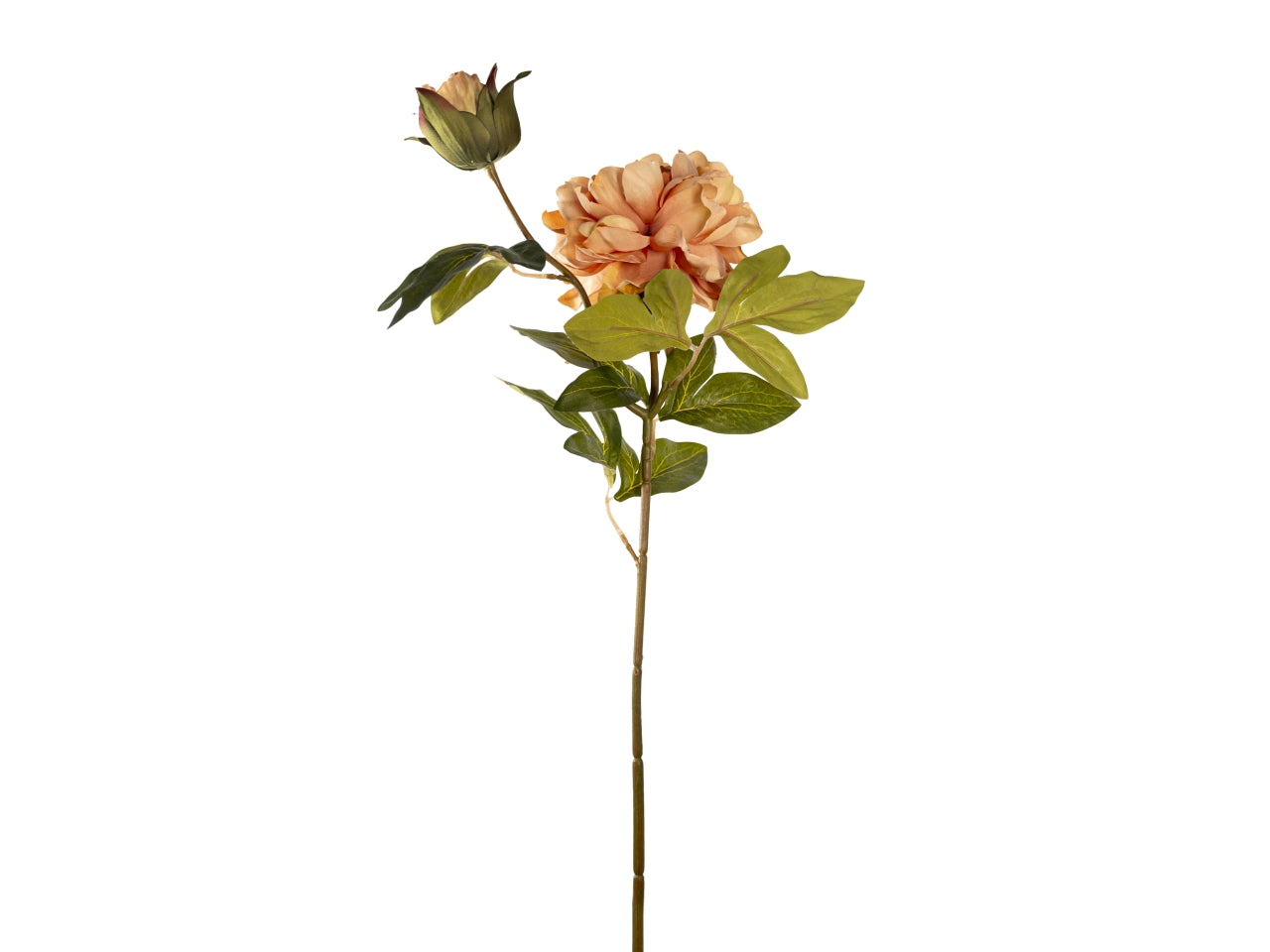 Ramo peonia 65cm fiore con bocciolo pesca