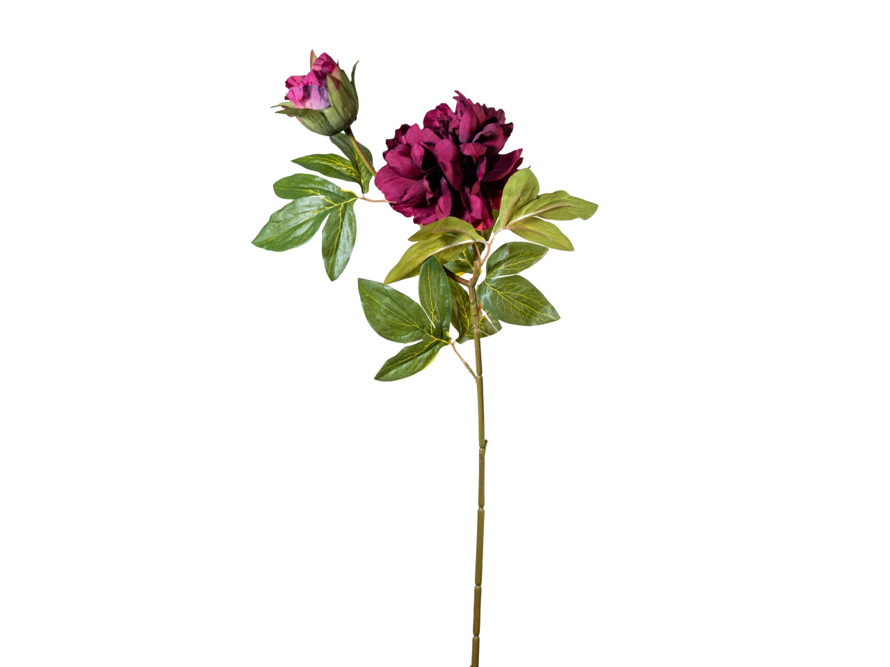Ramo peonia 65cm fiore+bocciolo viola