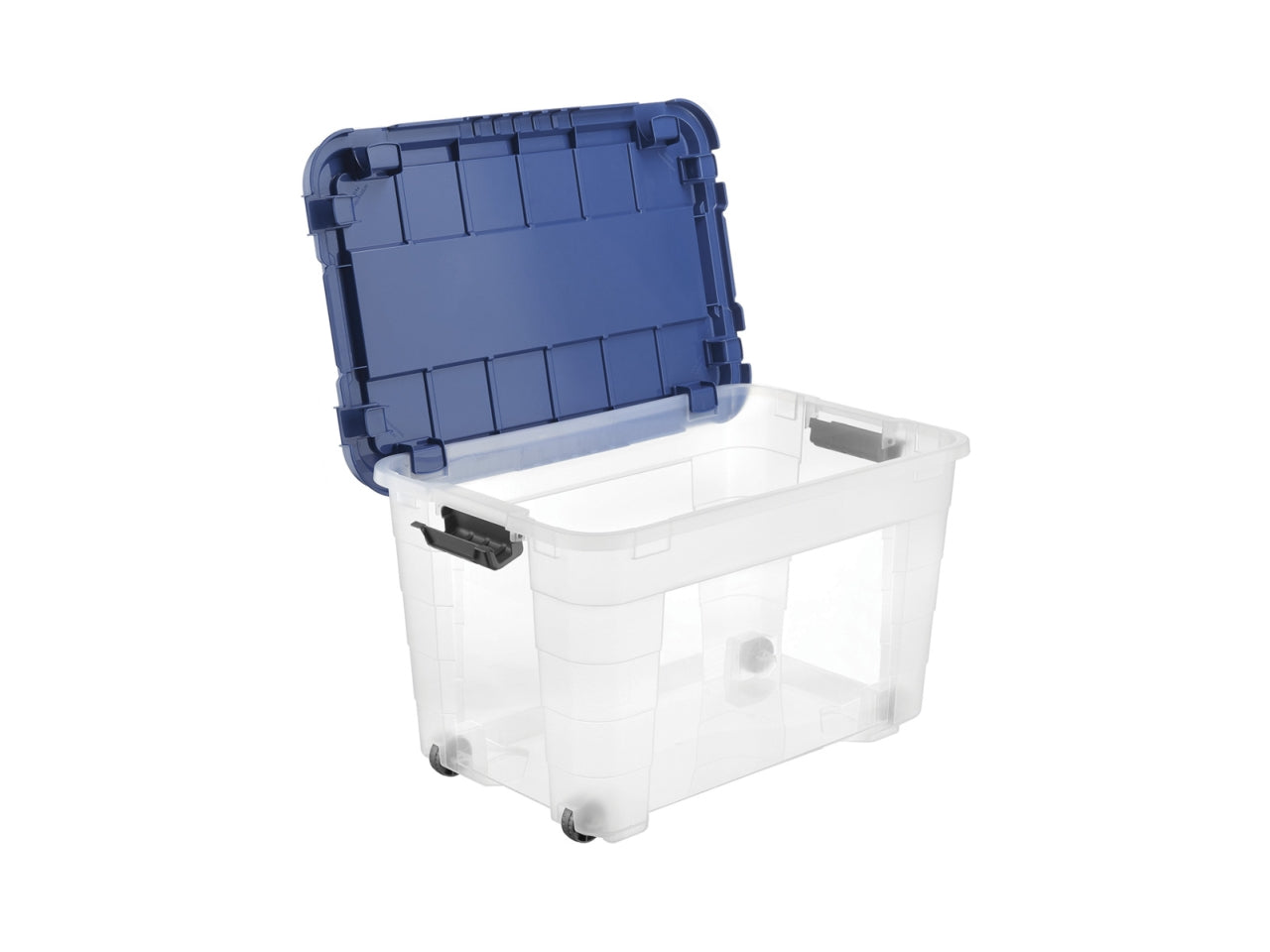Box magic 4up 40 con coperchio e ruote colore trasparente e oceano