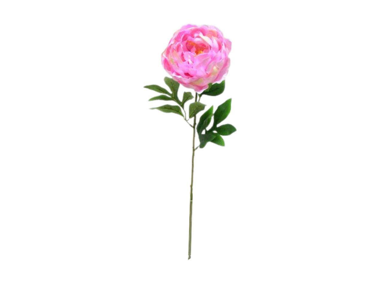 Single peony spray colore 03
