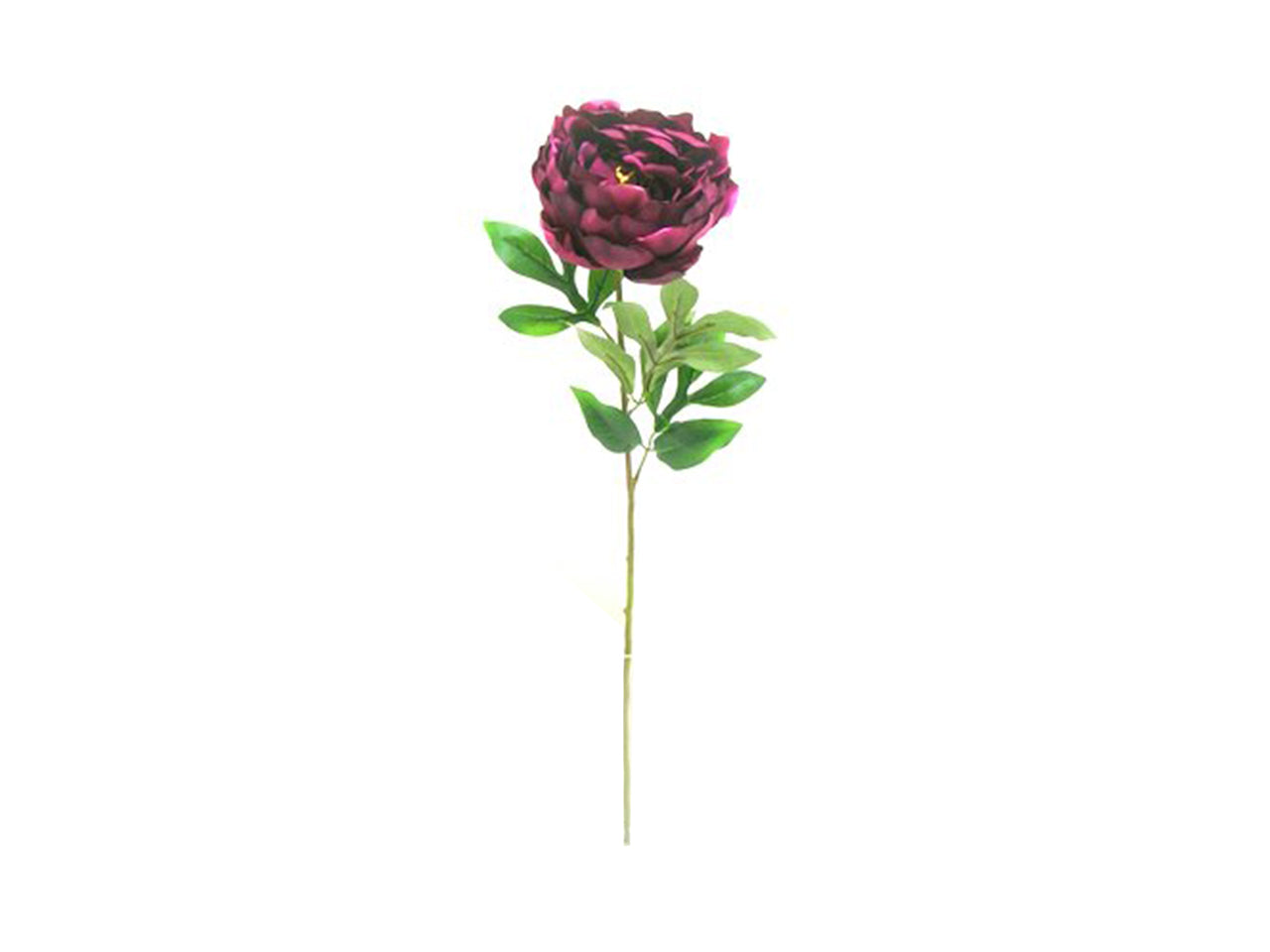 Single peony spray colore 17