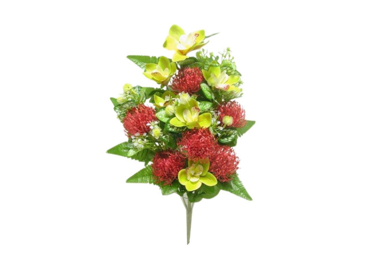 Cymbidium/leucospermum frontale colore 01