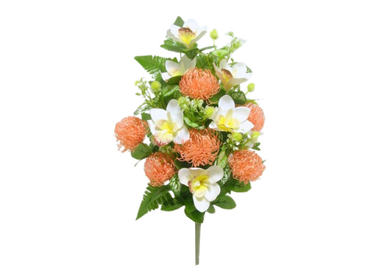 Cymbidium/leucospermum frontale colore 05