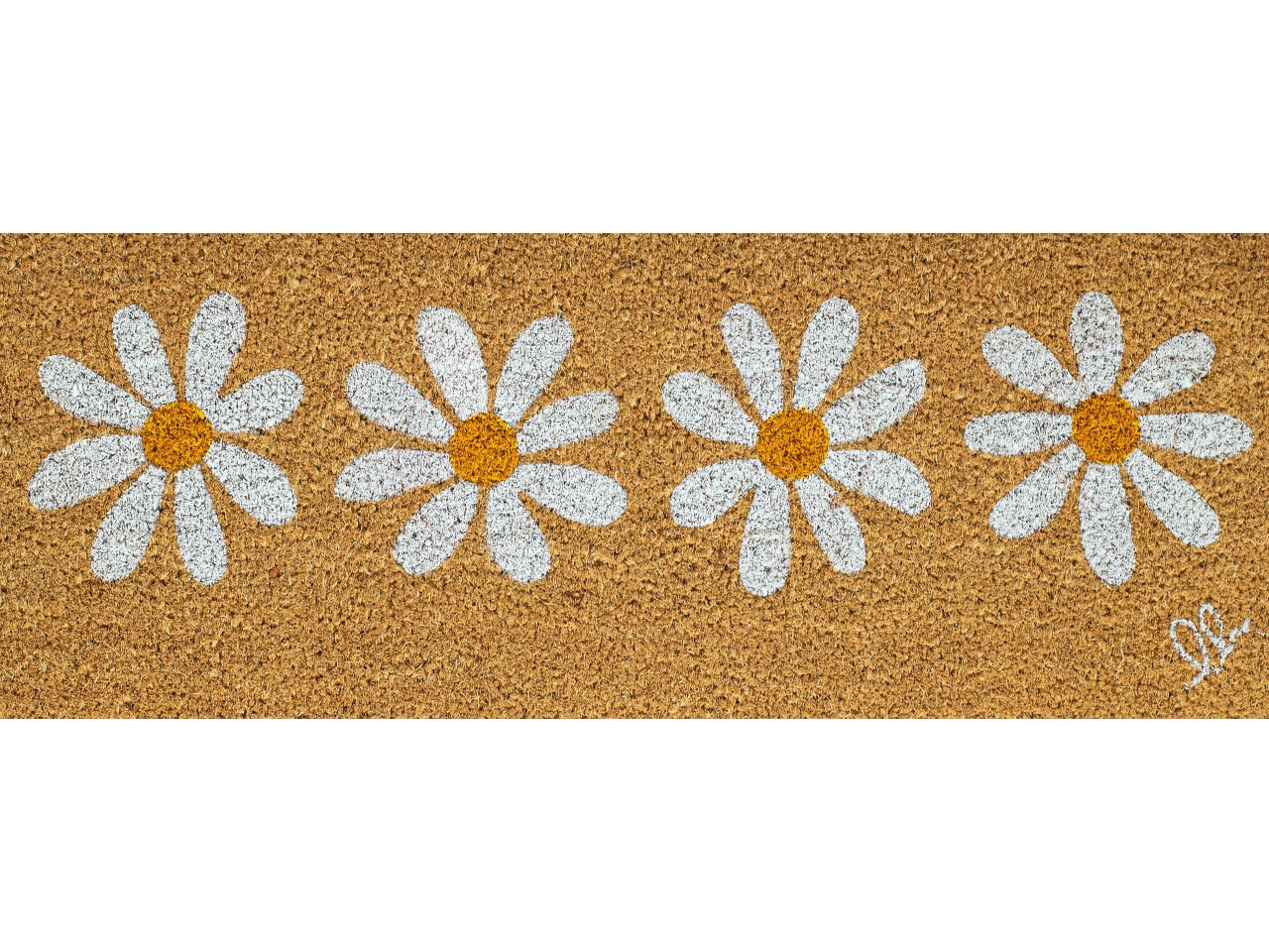 Zerbino entry C10 27x70cm